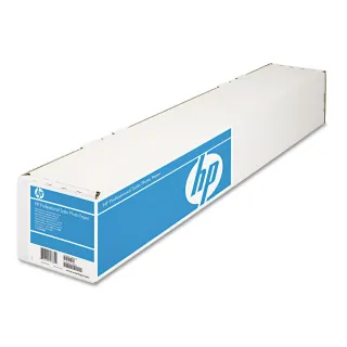 HP PROFESSIONAL INSTANT-DRY SATIN PHOTO PAPER - 44 IN X 50 FT - COMPATIBLE WITH