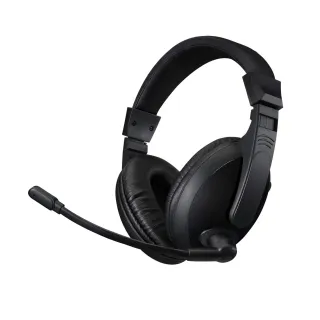 MULTIMEDIA HEADSET WITH MIC     USB