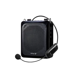 PERSONAL WRLS VOICE AMPLIFIER